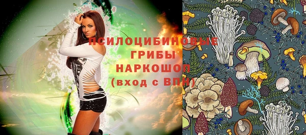сатива Белая Холуница
