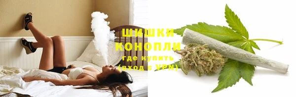 спиды Нея