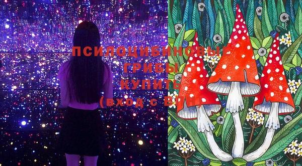 мдпв Михайлов